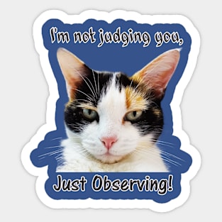 Cute Calico Cat with Attitude – Just Observing! Sticker